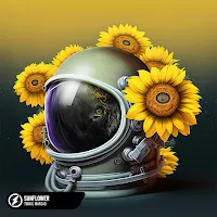 Twin — Sunflower Ft Margad — обложка
